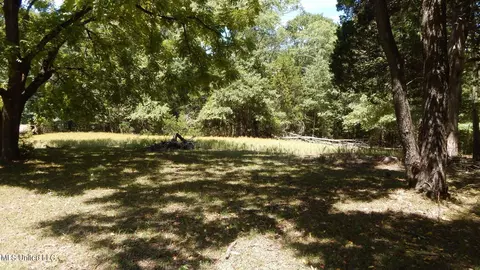 142 Oakdale Rd, Coldwater, MS 38618 photo 9