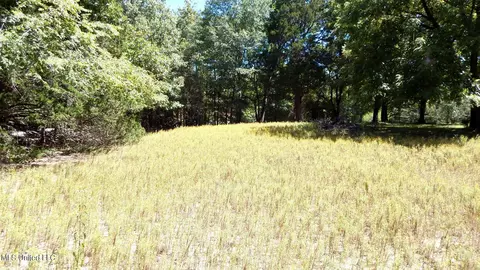 142 Oakdale Rd, Coldwater, MS 38618