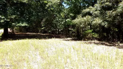 142 Oakdale Rd, Coldwater, MS 38618 photo 7