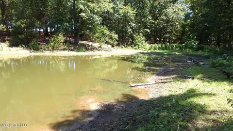 142 Oakdale Rd, Coldwater, MS 38618 photo 14