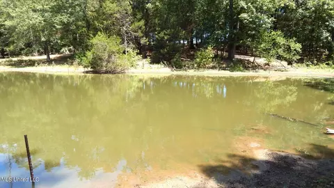 142 Oakdale Rd, Coldwater, MS 38618 photo 15