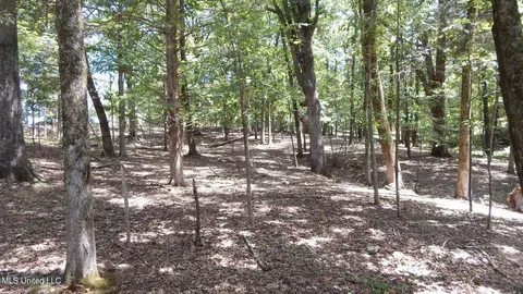 142 Oakdale Rd, Coldwater, MS 38618 photo 16
