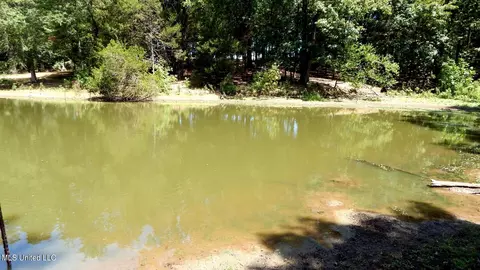 142 Oakdale Rd, Coldwater, MS 38618 photo 3