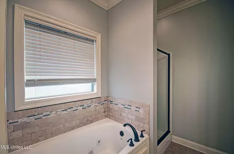 Bath - 315 Ridge Pointe Dr, Brandon, MS 39042 photo 2 of 3