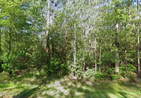 00 Shawnee St, Kiln, MS 39556