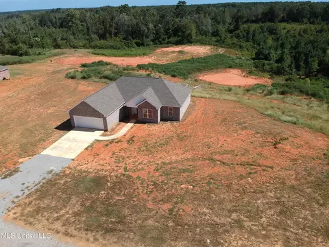 Other - 21 Marlee Savell Dr, Forest, MS 39074 photo 6 of 6