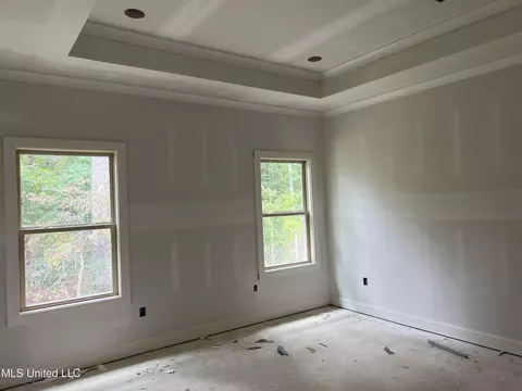 314 Celadon Way, Brandon, MS 39042 photo 6