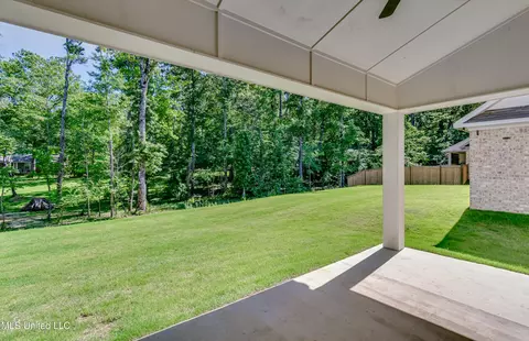 318 Celadon Way, Brandon, MS 39042 photo 52