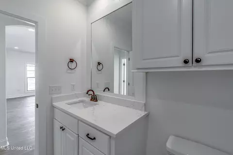 Bath - 603 Cobalt Way, Brandon, MS 39042 photo 1 of 2