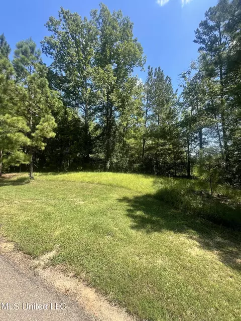 0 Danielle Cv, Brandon, MS 39042 photo 2