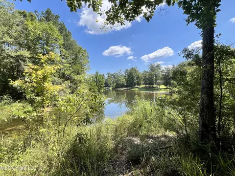 0 Danielle Cv, Brandon, MS 39042 photo 5