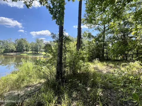 0 Danielle Cv, Brandon, MS 39042 photo 4
