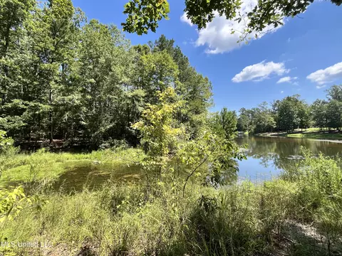 0 Danielle Cv, Brandon, MS 39042 photo 3