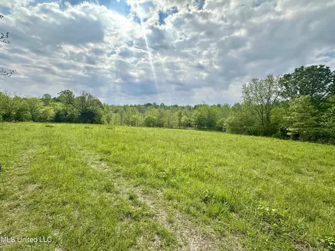 0 Pickle St, Enid, MS 38927