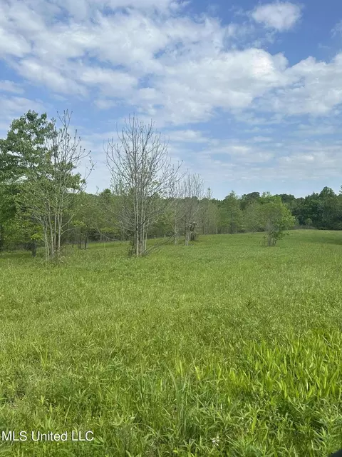 0 Pickle St, Enid, MS 38927 photo 3
