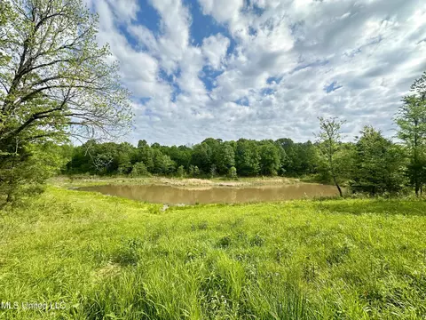 0 Pickle St, Enid, MS 38927 photo 2
