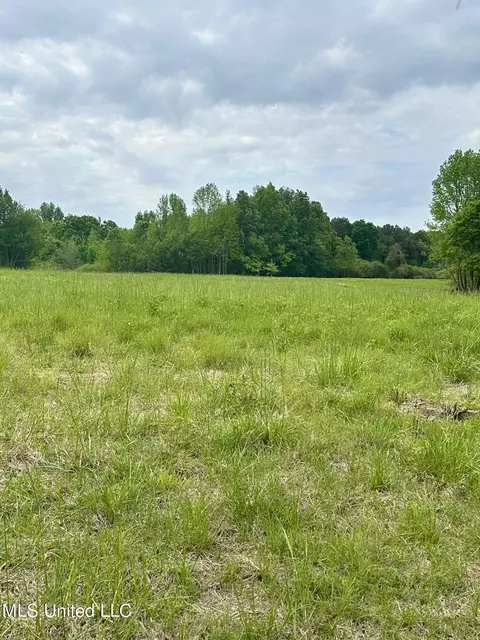 0 Pickle St, Enid, MS 38927 photo 4