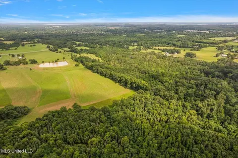 Smith-carr Rd Road, Canton, MS 39046 photo 8