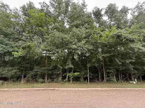 Woodbridge Drive, Madison, MS 39110