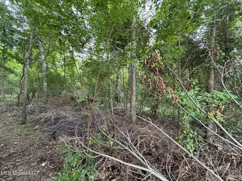 Woodbridge Drive, Madison, MS 39110