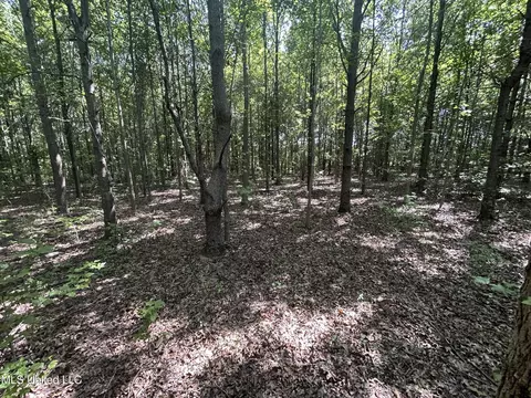 Sharkey Road Road, Glendora, MS 38928 photo 3