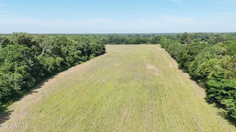 4 Renfroe Rd, Canton, MS 39046 photo 3