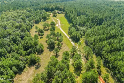 239 Jeffrey Rd, Mclain, MS 39456 photo 33