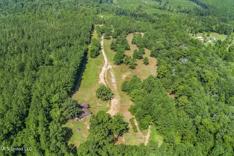 239 Jeffrey Rd, Mclain, MS 39456 photo 4