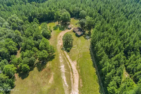 239 Jeffrey Rd, Mclain, MS 39456 photo 25