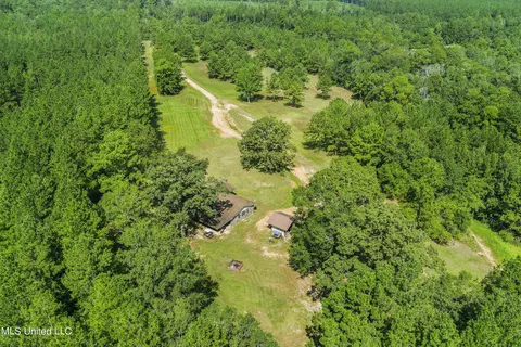 239 Jeffrey Rd, Mclain, MS 39456 photo 31