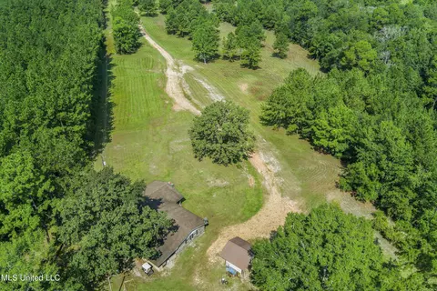 239 Jeffrey Rd, Mclain, MS 39456 photo 32