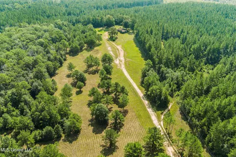 239 Jeffrey Rd, Mclain, MS 39456 photo 23