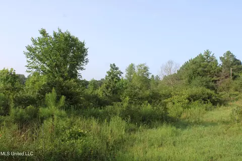 3702 Higdon Rd, Holly Springs, MS 38635