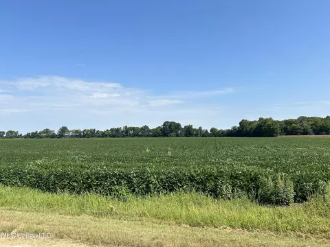 Hampton Lake Road Road, Glendora, MS 38928 photo 5