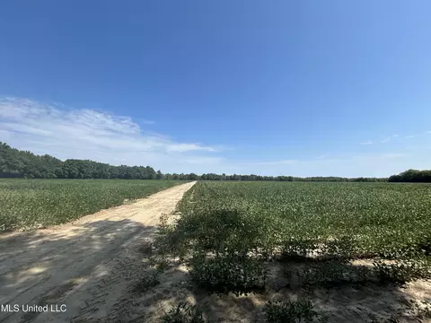 Hampton Lake Road Road, Glendora, MS 38928 photo 6