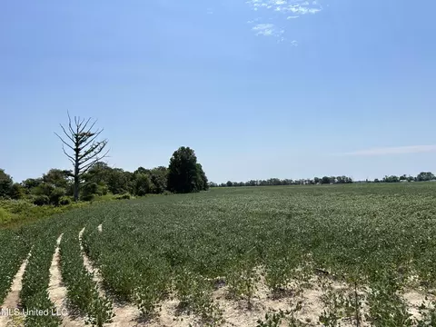 Hampton Lake Road Road, Glendora, MS 38928 photo 11
