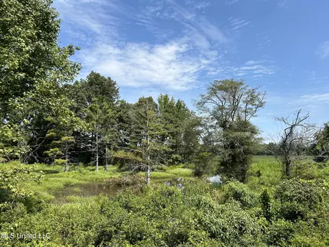 Hampton Lake Road Road, Glendora, MS 38928 photo 10