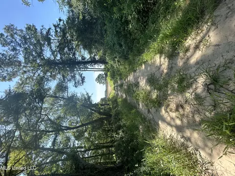 Hampton Lake Road Road, Glendora, MS 38928 photo 7