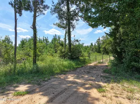 3 0- Highway 11, Petal, MS 39465
