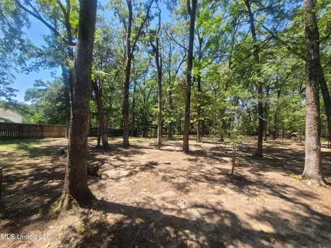 Exterior - 154 Aspen Dr, Madison, MS 39110 photo 8 of 19