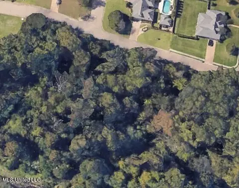 Woodbridge Drive, Madison, MS 39110 photo 2