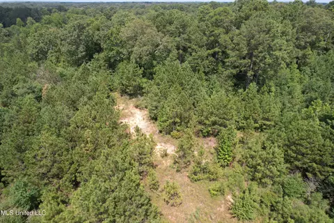 165 Lakeshore Rd, Jackson, MS 39212 photo 11