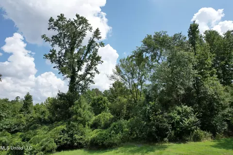165 Lakeshore Rd, Jackson, MS 39212 photo 6