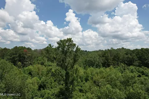 165 Lakeshore Rd, Jackson, MS 39212 photo 5