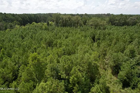 165 Lakeshore Rd, Jackson, MS 39212 photo 12