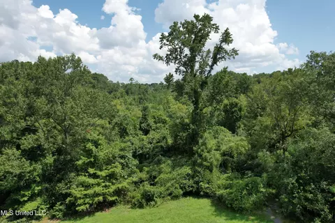 165 Lakeshore Rd, Jackson, MS 39212 photo 7