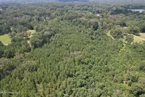 165 Lakeshore Rd, Jackson, MS 39212 photo 13