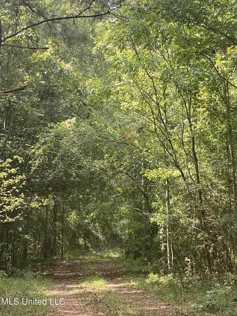 978 Hilt Fornea Rd, Poplarville, MS 39470