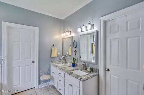Bath - 429 Grant Fox Dr, Brandon, MS 39047 photo 1 of 3