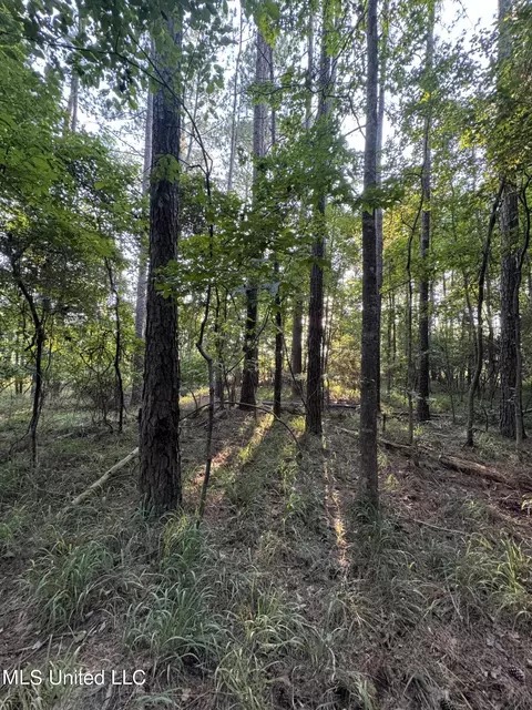 Helmlock Road, Pachuta, MS 39347 photo 8